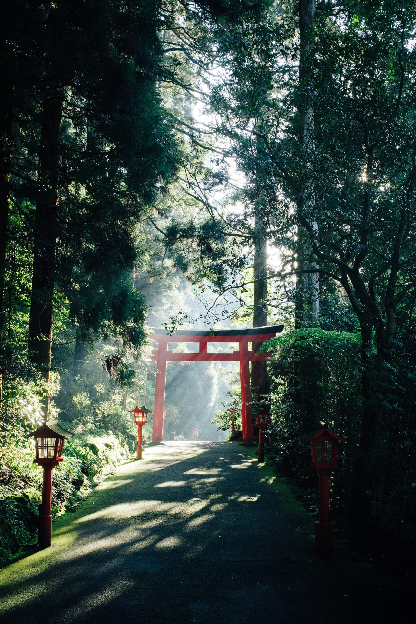 japan-vibe-tori-gate-in-wood